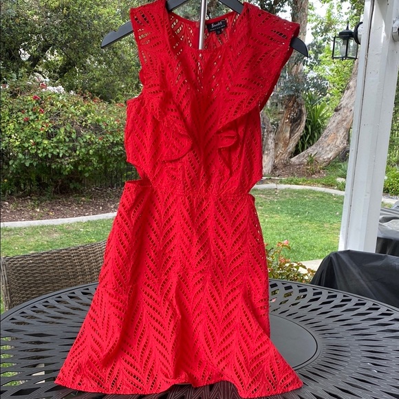 Bardot Kiara Red Sleeveless Fit and Flare Cocktail Dress - Picture 3 of 13